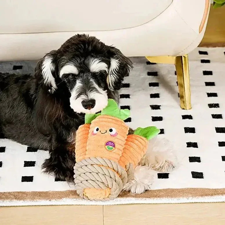 Hugsmart Pet Puppy Garden Carrot Bunch Dog Rope Toy - Talis Us