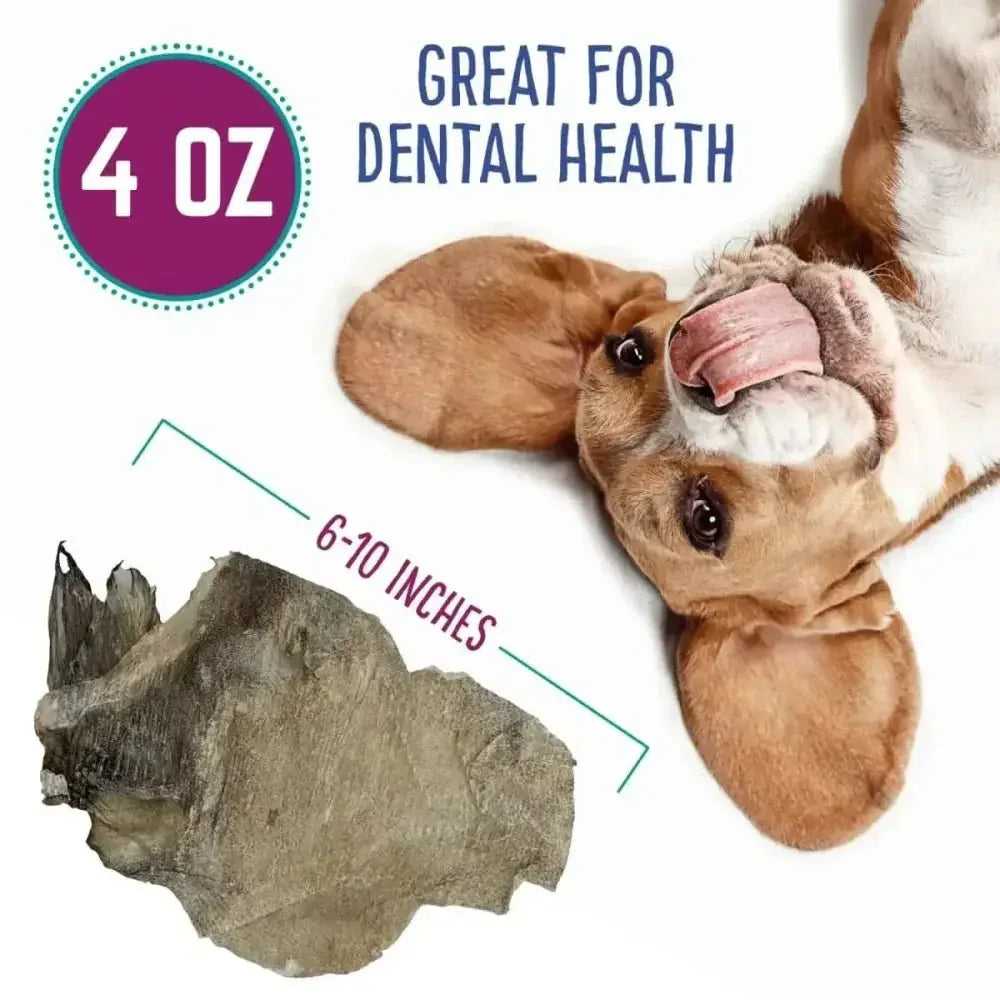 Hungry Paws Premium Cod Skin Dog Chew Treats 4 oz - Talis Us