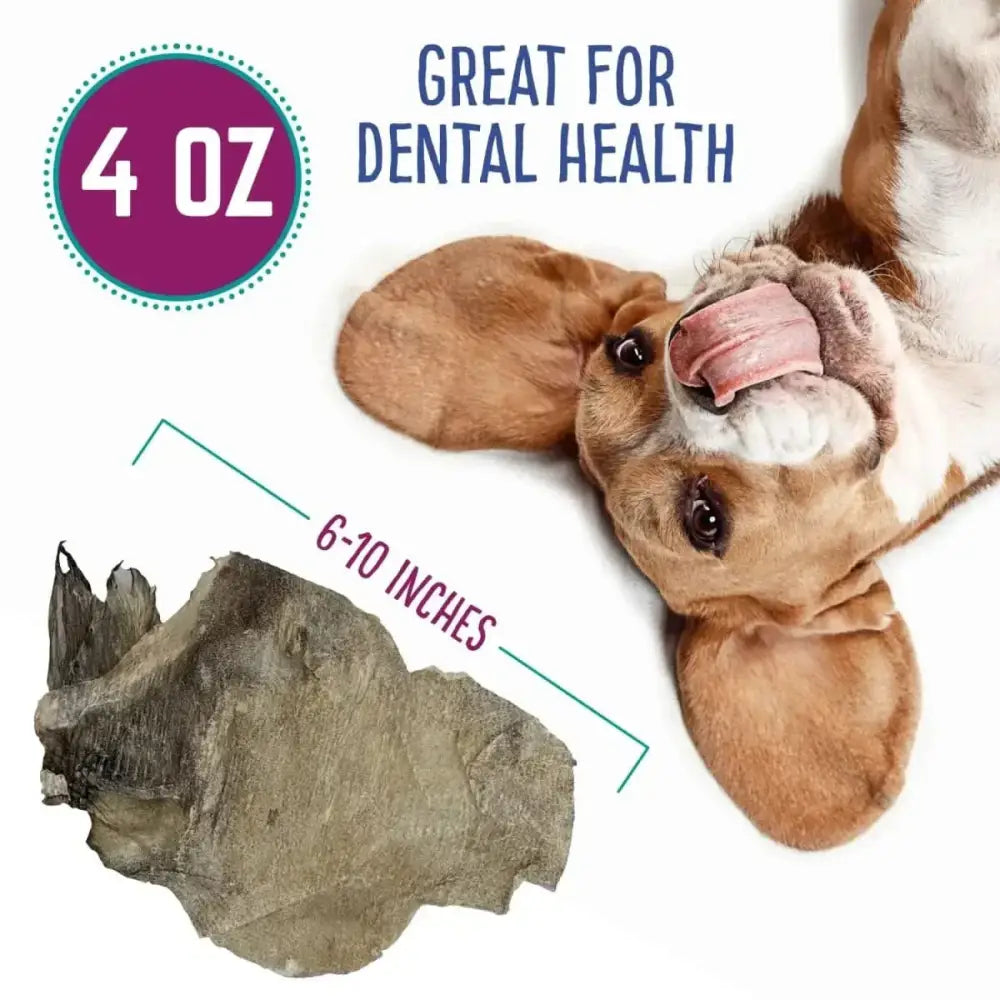 Hungry Paws Premium Cod Skin Dog Chew Treats 4 oz - Talis Us