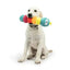 Huxley & Kent Fetchies Caterpillar Dog Toy - Talis Us