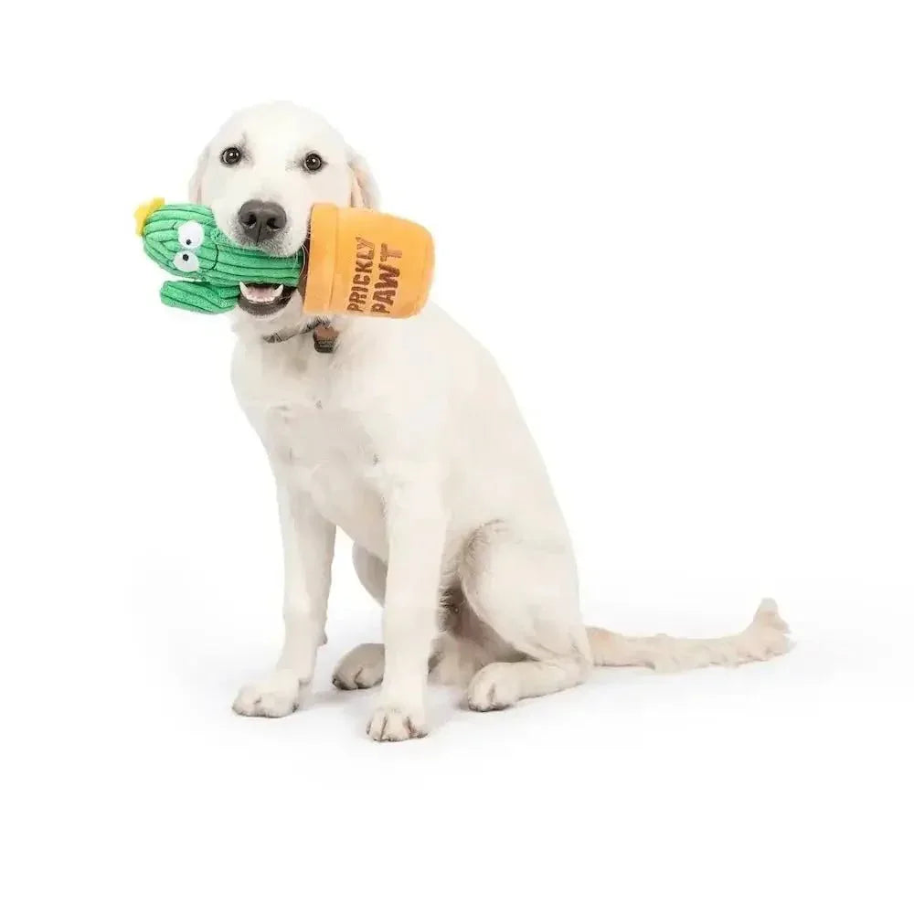 Huxley & Kent Seek 'n Treat Prickly Pawt Dog Toy - Talis Us