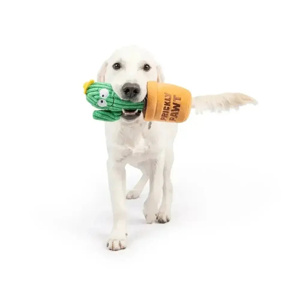 Huxley & Kent Seek 'n Treat Prickly Pawt Dog Toy - Talis Us