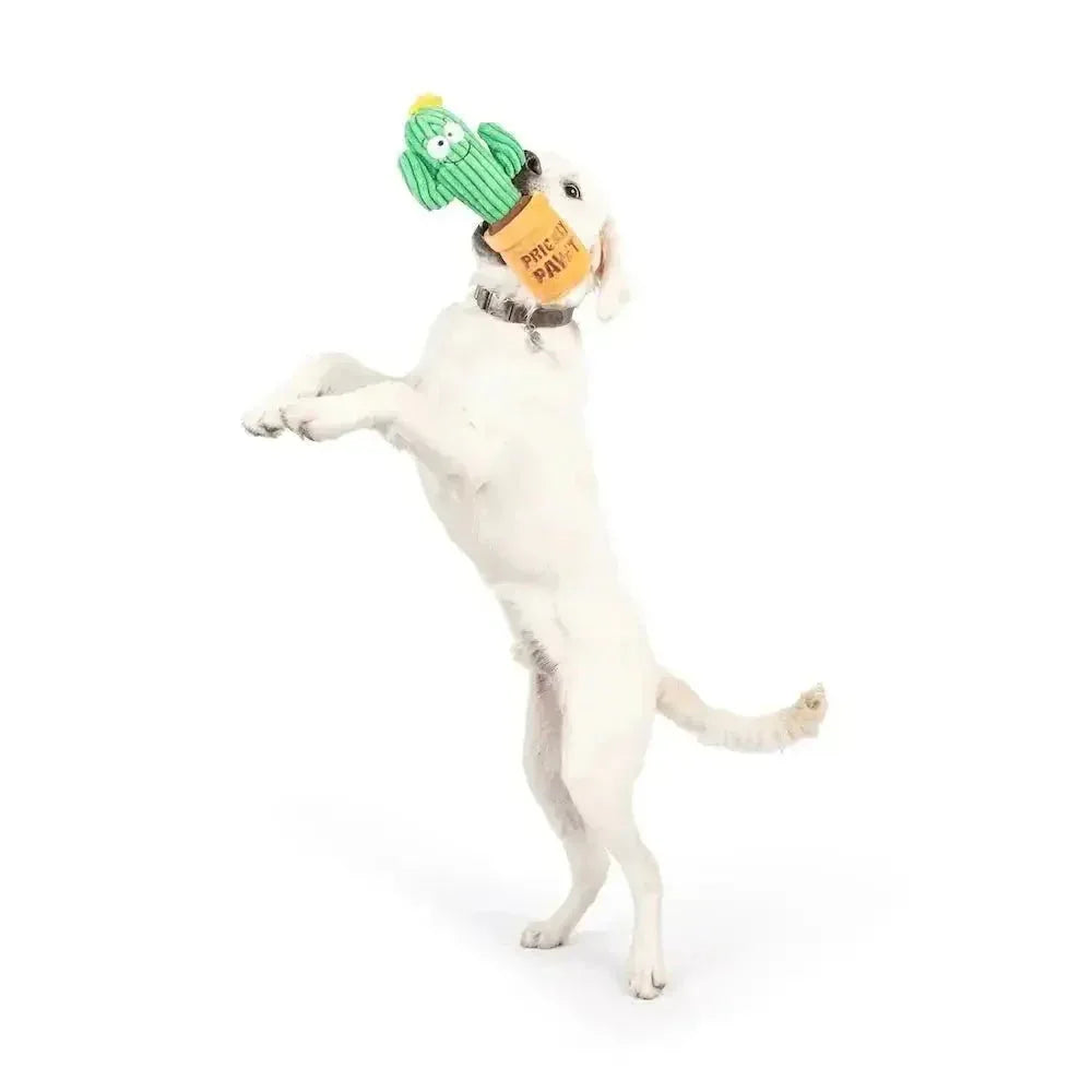 Huxley & Kent Seek 'n Treat Prickly Pawt Dog Toy - Talis Us
