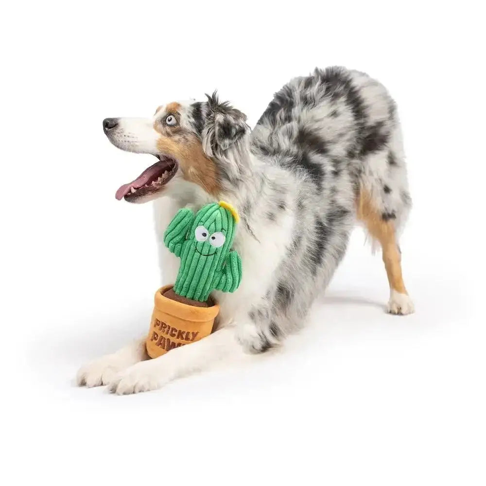 Huxley & Kent Seek 'n Treat Prickly Pawt Dog Toy - Talis Us