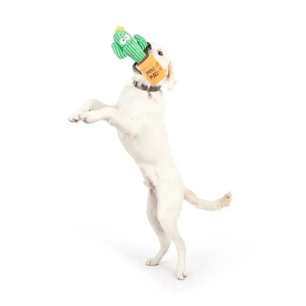 Huxley & Kent Seek 'n Treat Prickly Pawt Dog Toy - Talis Us