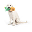 Huxley & Kent Seek 'n Treat Prickly Pawt Dog Toy - Talis Us