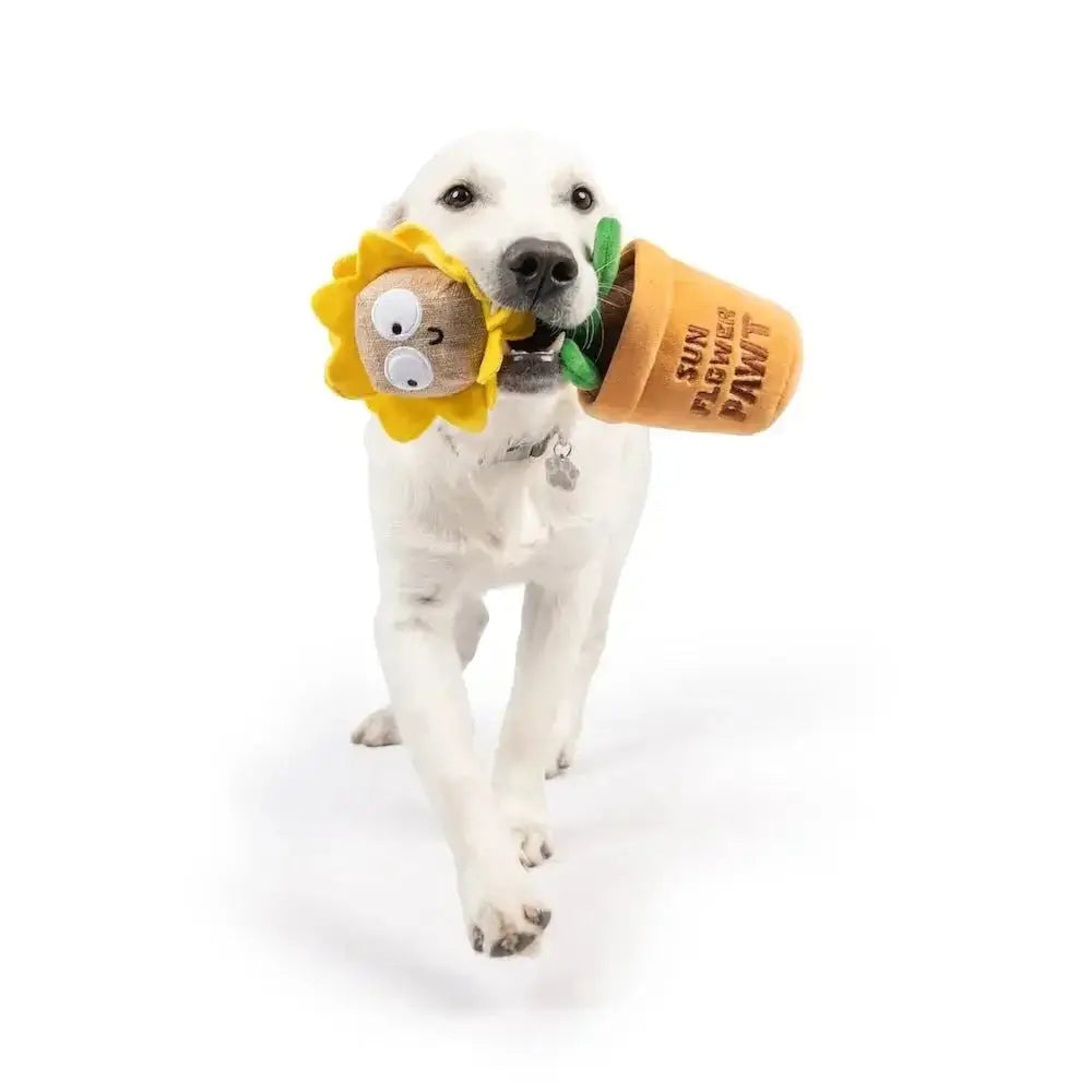 Huxley & Kent Seek 'n Treat Sunflower Pawt Dog Toy - Talis Us
