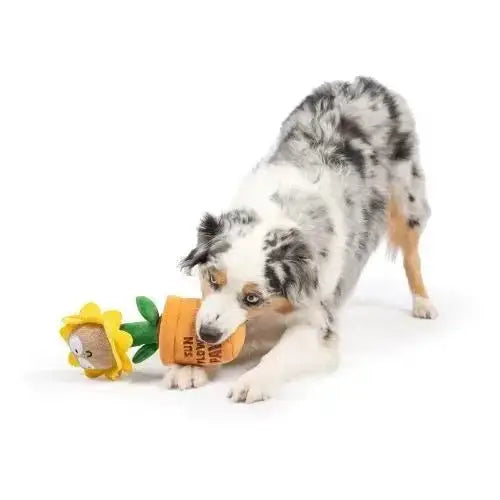 Huxley & Kent Seek 'n Treat Sunflower Pawt Dog Toy - Talis Us