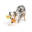Huxley & Kent Seek 'n Treat Sunflower Pawt Dog Toy - Talis Us
