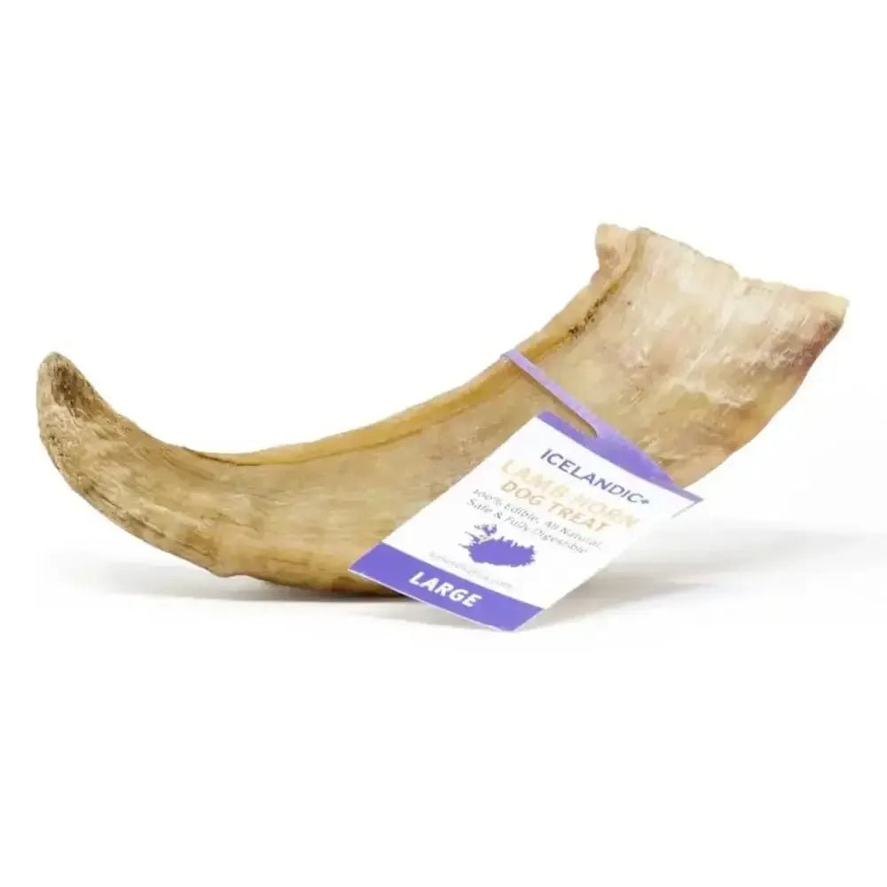 Icelandic+ Large Lamb Horn Individual - Talis Us
