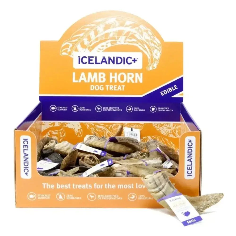 Icelandic+ Small Lamb Horn w/ Marrow 36 ct Display - Talis Us