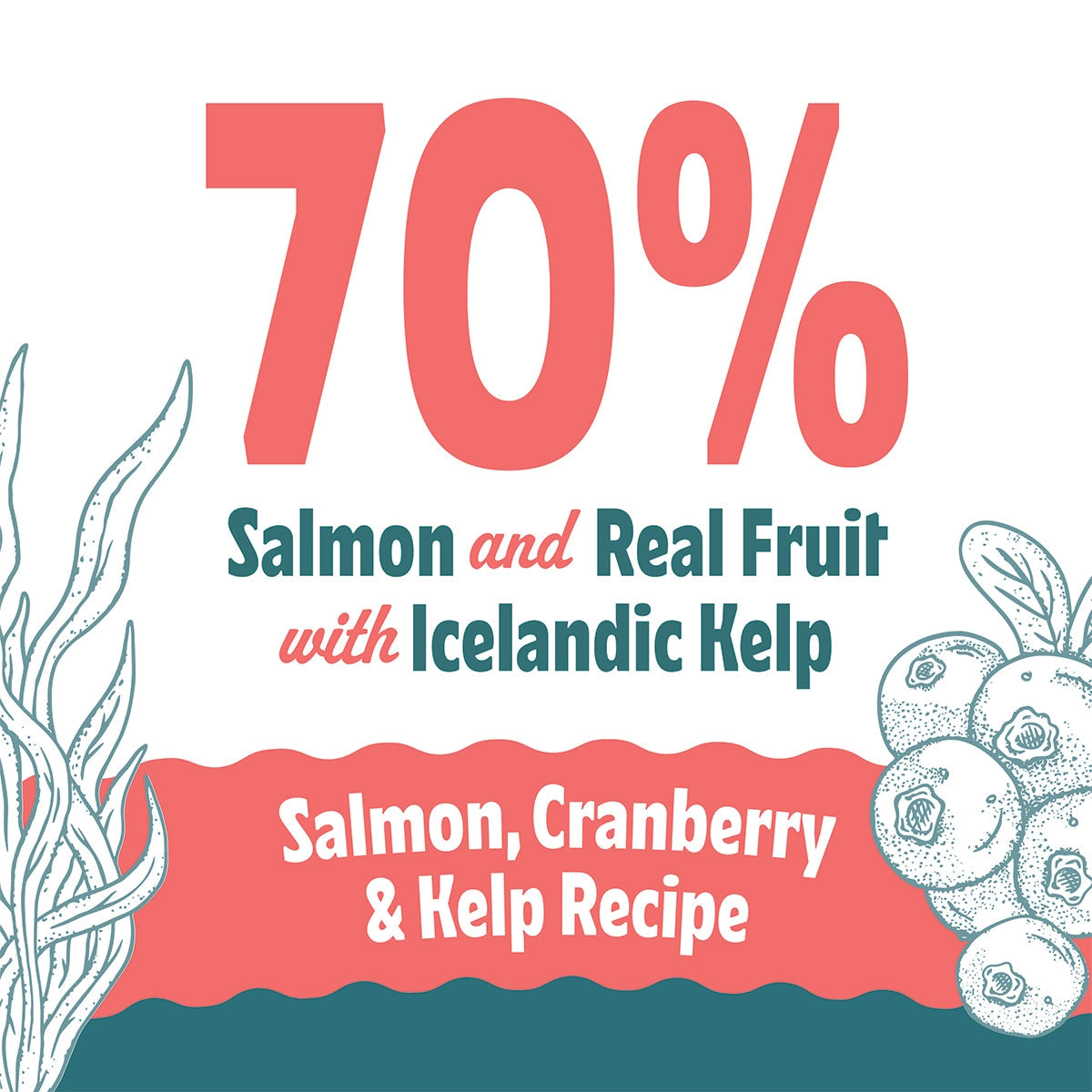 Icelandic soft and chewy cat treats with 70% salmon and real fruit for healthy cat snacks