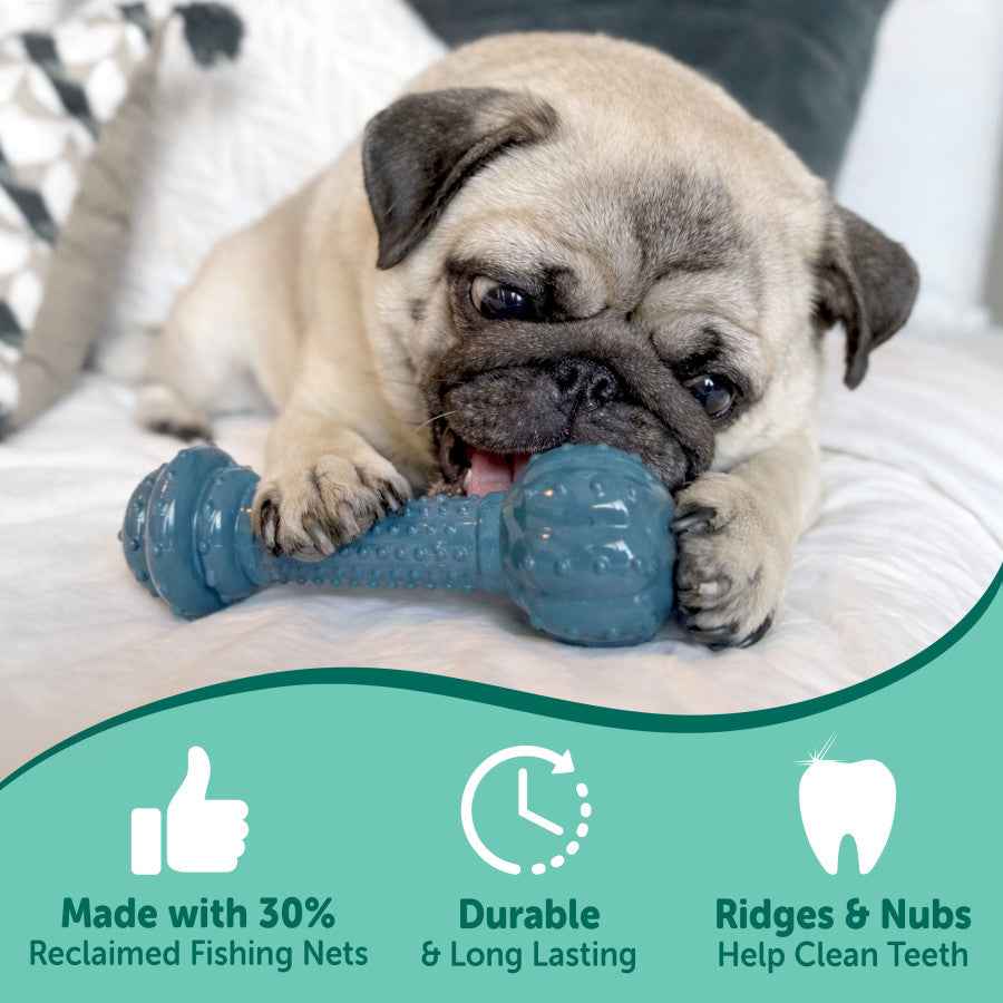 Nylabone Power Chew Love Our Oceans Barbell Dog Chew Toy