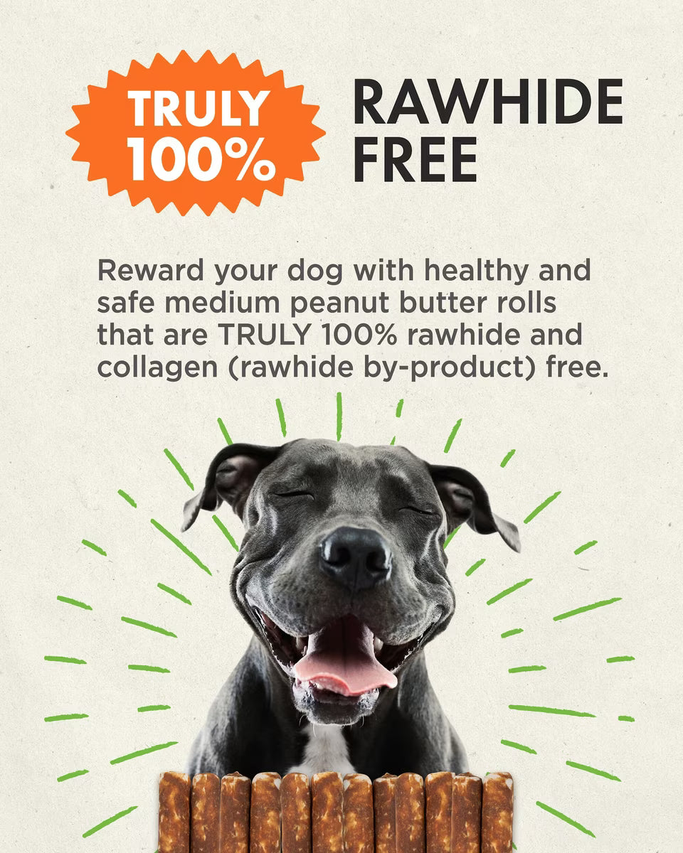Canine Naturals Hide Free Dog Chew Treat