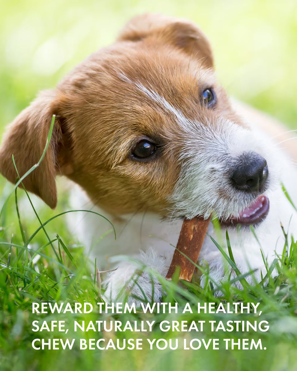 Canine Naturals Hide Free Dog Chew Treat