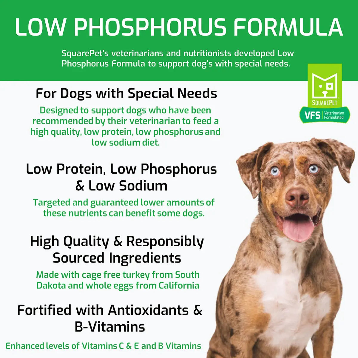 Square Pet VFS Low Phosphorus Formula Dry Dog Food