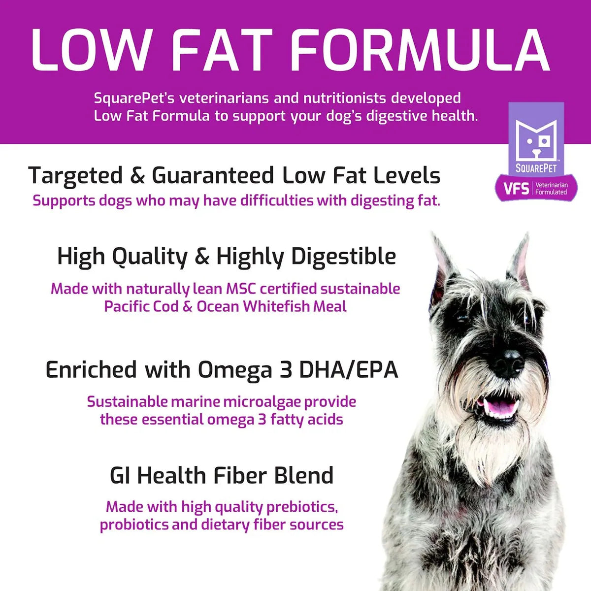 SquarePet VFS Digestive Support Low Fat Formula Dry Dog Food