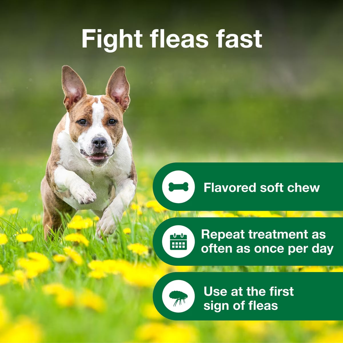 Talis Us Advantus Soft Chews for Dogs, 7.5 mg, 30 count, with a dog running in a field of flowers.