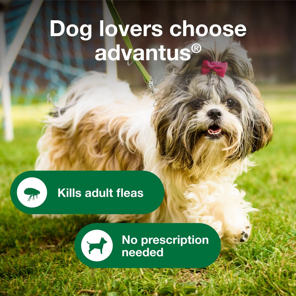 Talis Us Advantus Soft Chews for Dogs, 7.5 mg, 30 count, featuring a small dog in a grassy area with promotional text.