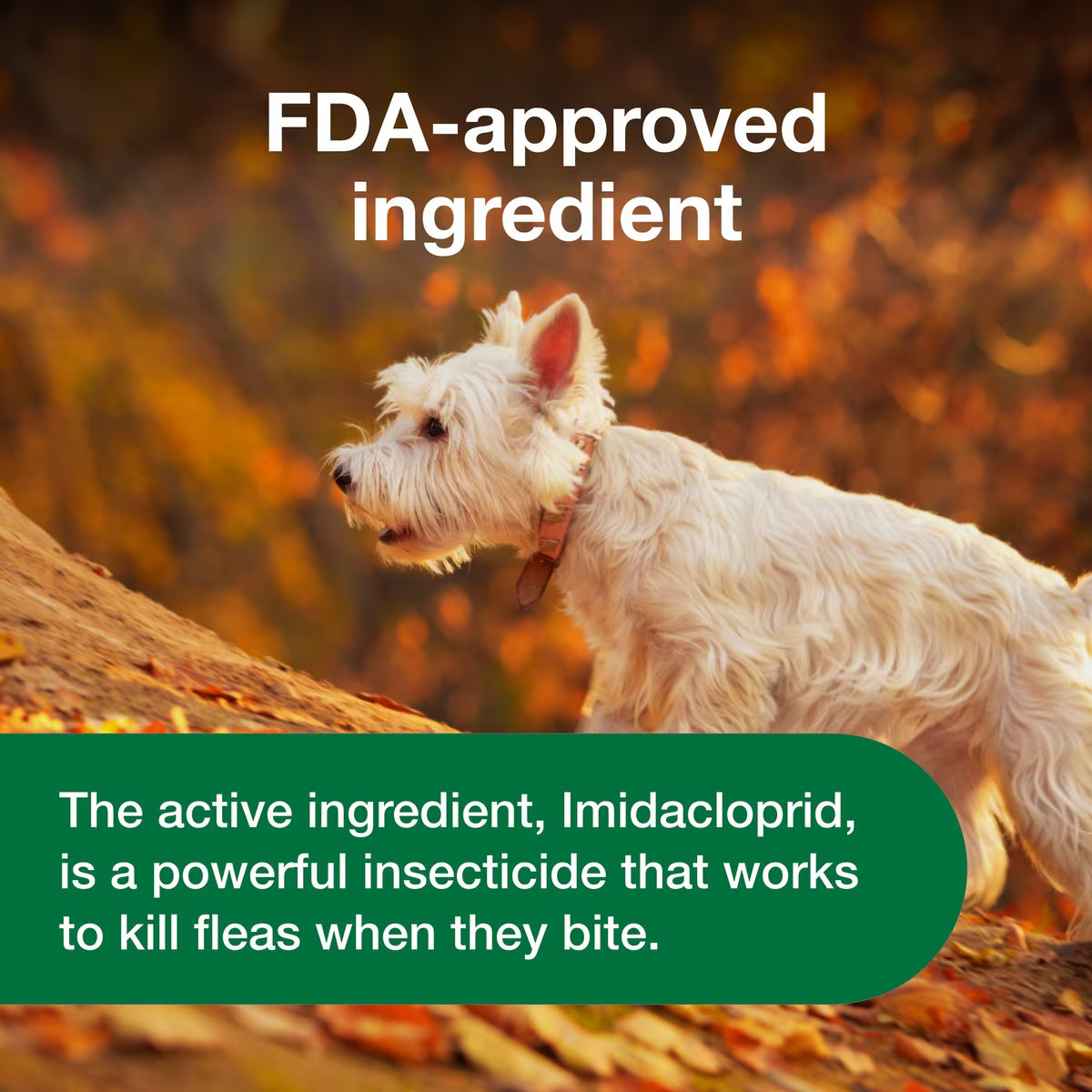 Talis Us Advantus Soft Chews for Dogs 7.5 mg, 30 count, with FDA-approved ingredient for flea control in small to medium dogs
