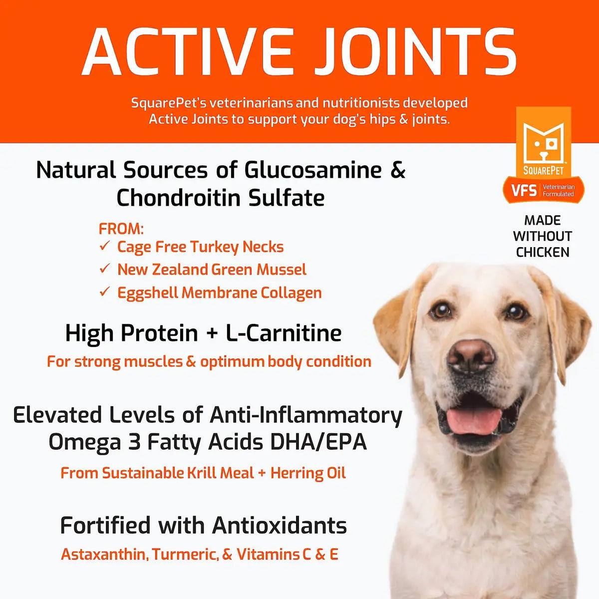 SquarePet VFS Active Joints Hip & Joint Formula Dry Dog Food