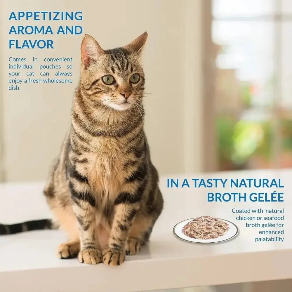 Inaba Twin Packs Chicken Recipe in Chicken Broth for Cats - Talis Us