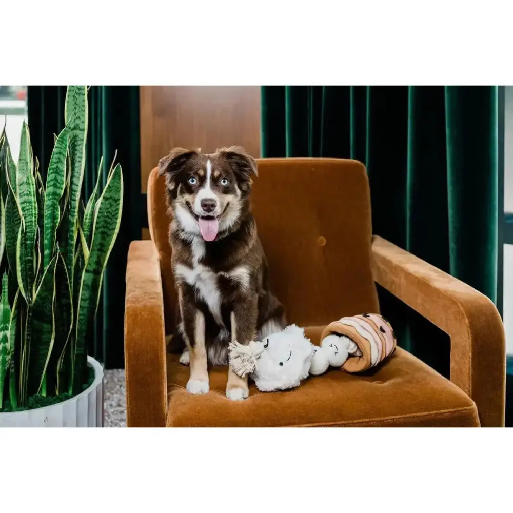 Injoya Boba Time Snuffle Toys for Dogs - Talis Us