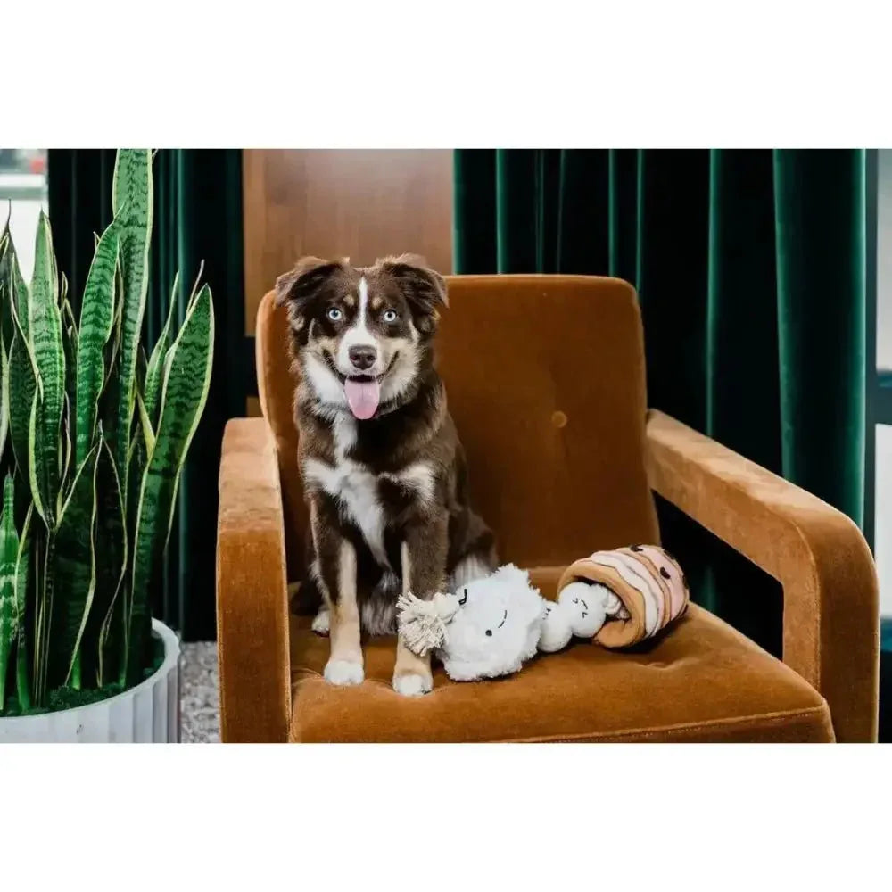 Injoya Boba Time Snuffle Toys for Dogs - Talis Us