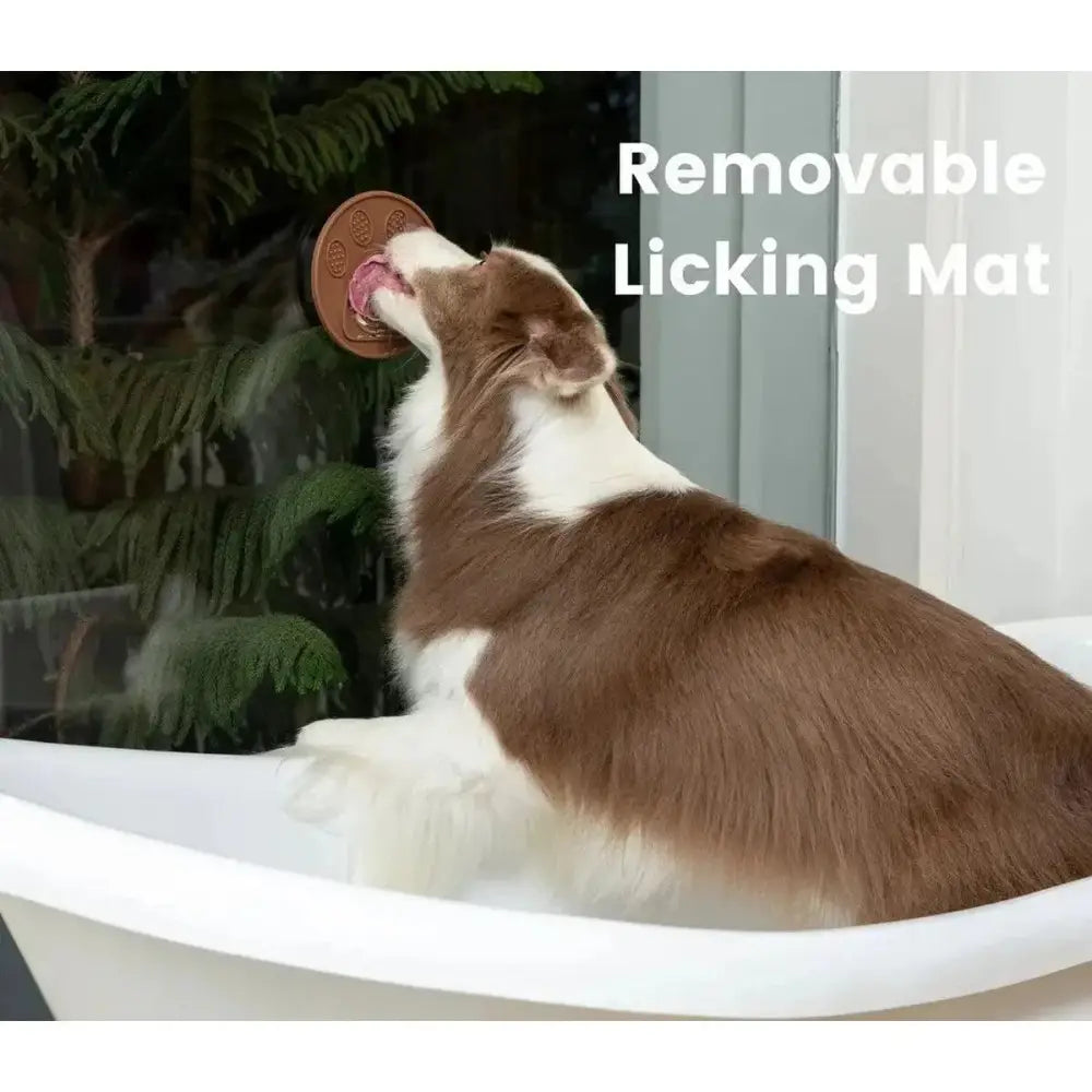 Injoya Cookie Snuffle Mat Blue Orange - Talis Us