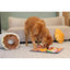 Injoya Pastry Shoppe Snuffle Mat for Dogs - Talis Us
