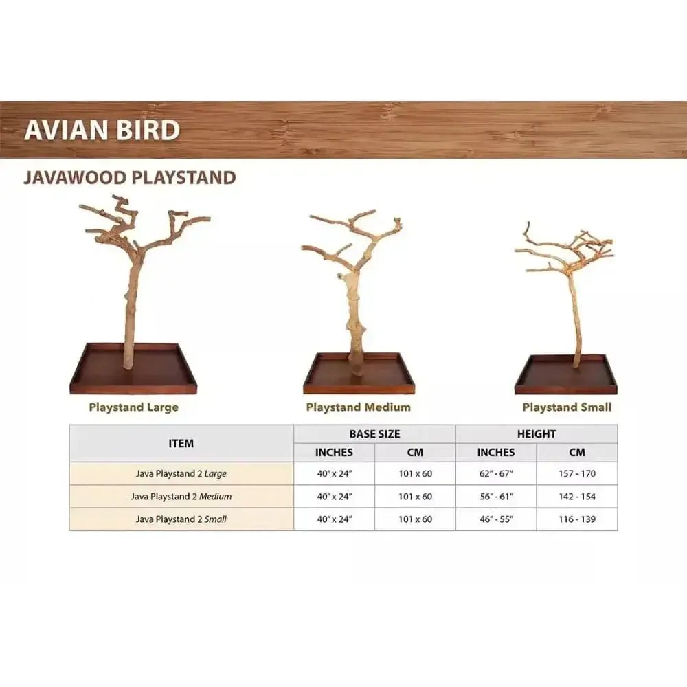 Java wood parrot bird perch tree stand - Talis Us