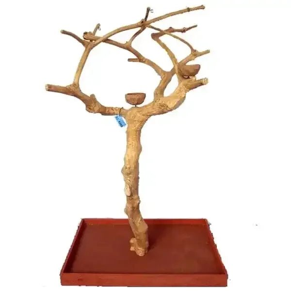 Java wood parrot bird perch tree stand - Talis Us