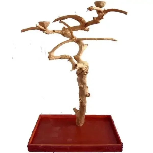 Java wood parrot bird perch tree stand - Talis Us