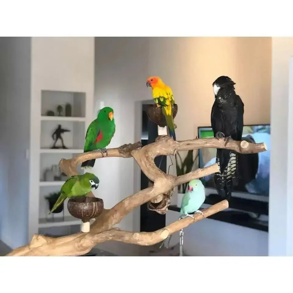 Java wood parrot bird perch tree stand - Talis Us