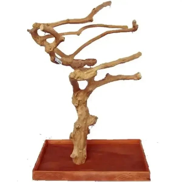 Java wood parrot bird perch tree stand - Talis Us