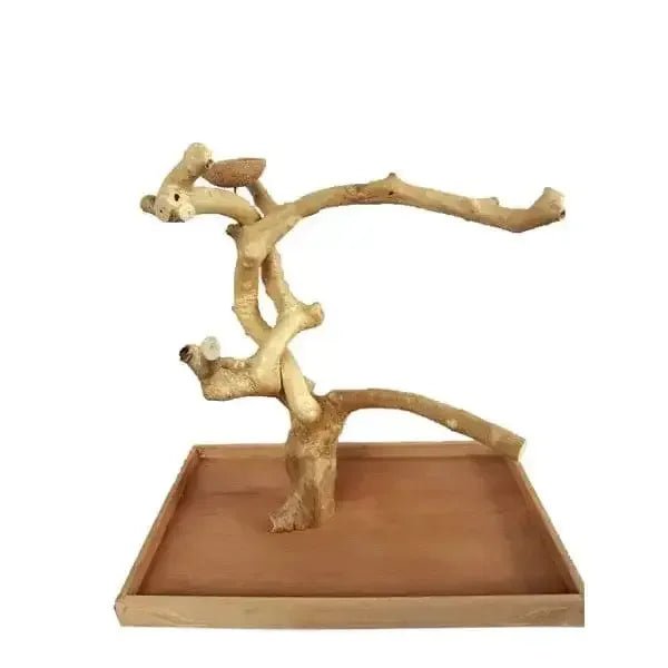 Java wood parrot tree bird stand wooden perch play stand feeding natural - Talis Us