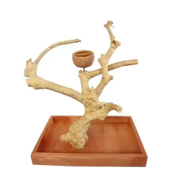 Java wood parrot tree bird stand wooden perch play stand feeding natural - Talis Us
