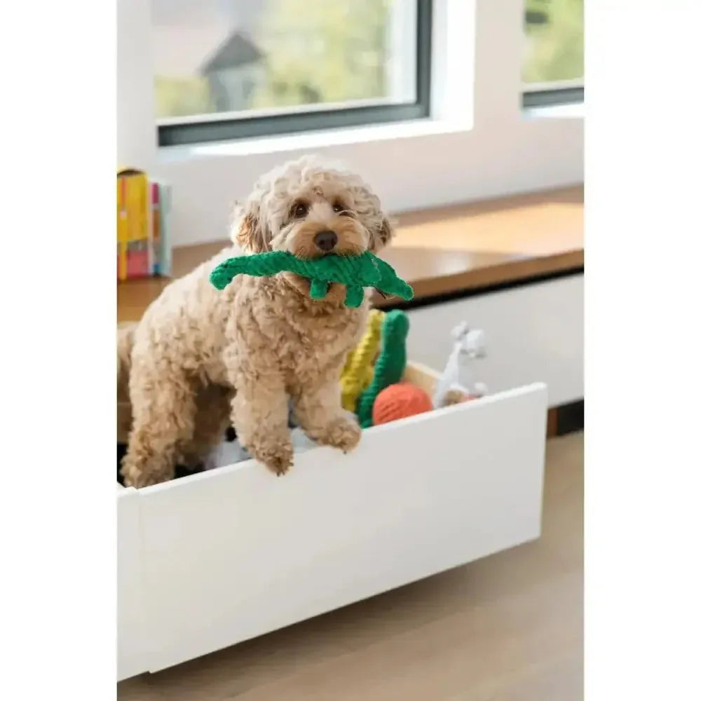 Jax & Bones Brent the Brontosaurus Rope Dog Toy - Talis Us