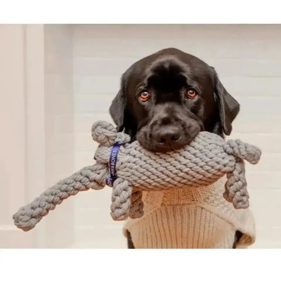 Jax & Bones Coco the Elephant Rope Dog Toy - Talis Us