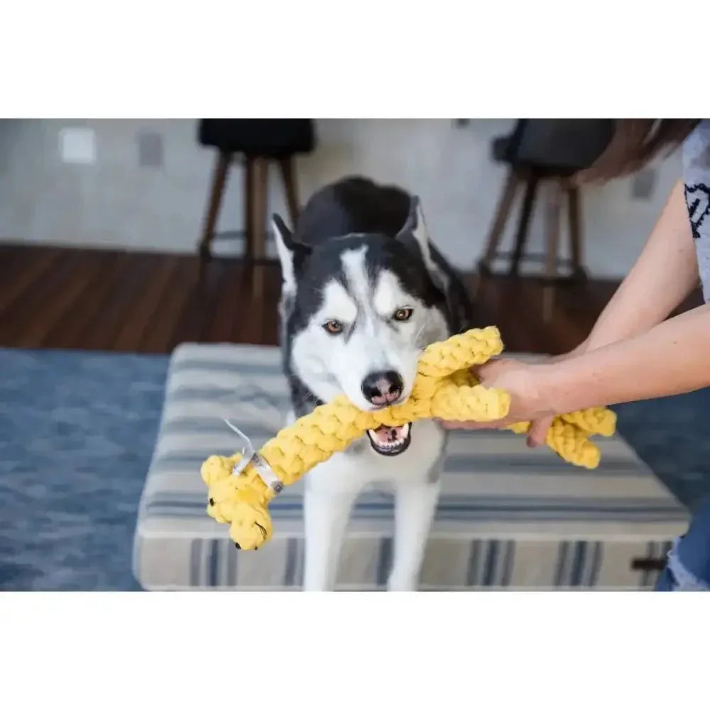 Jax & Bones Jerry the Giraffe Dog Rope Toy - Talis Us