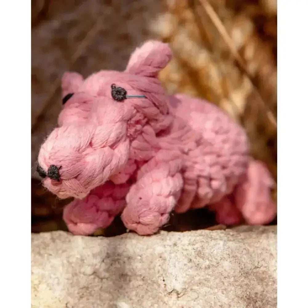 Jax & Bones Penny the Pig Rope Dog Toy - Talis Us