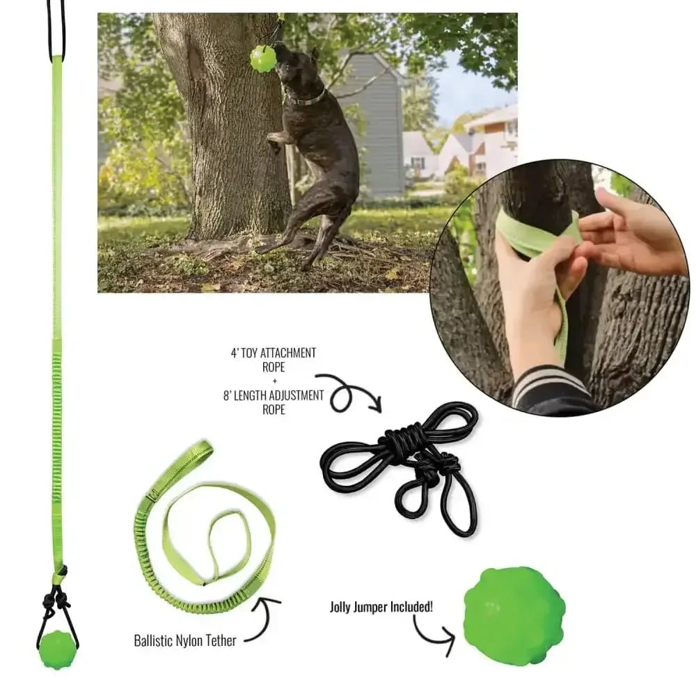 Jolly Pet Tree Tugger Dog Toy - Talis Us