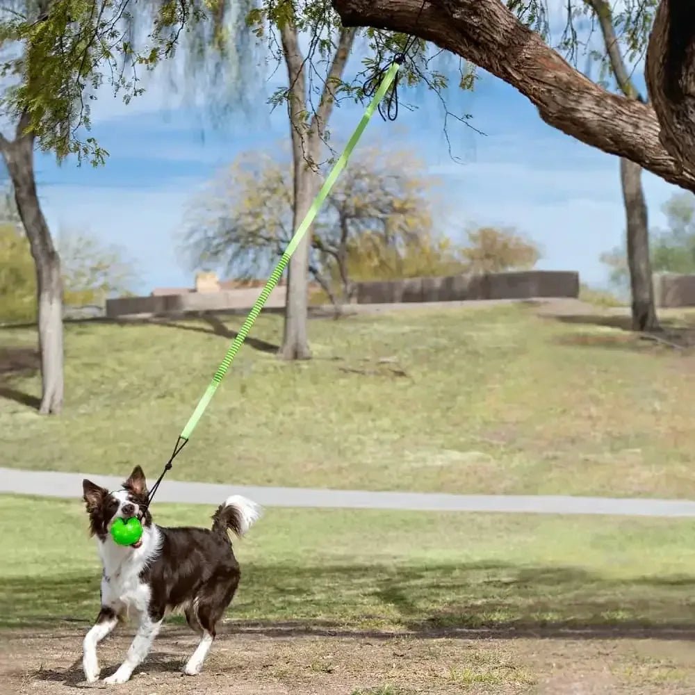 Jolly Pet Tree Tugger Dog Toy - Talis Us