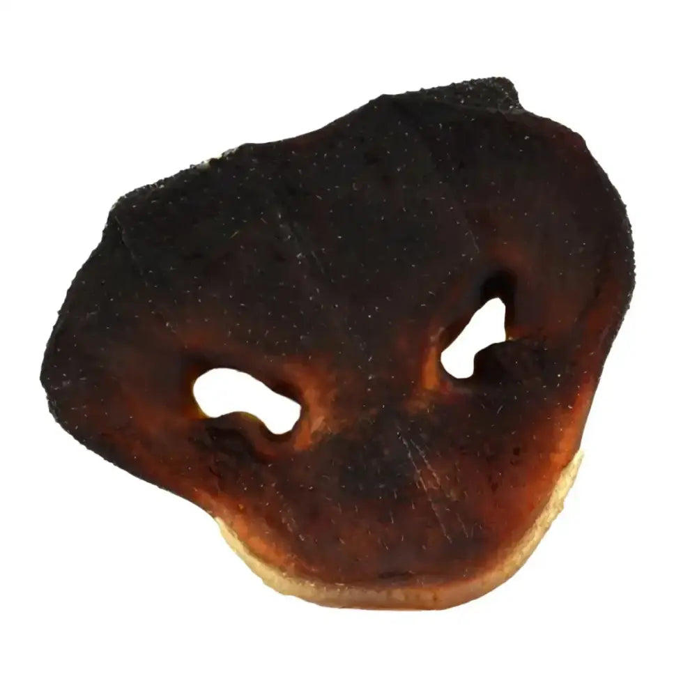 Jones Natural Chews Pig Snouts – Crunchy, Chewy Fun for Dogs 24ct - Talis Us