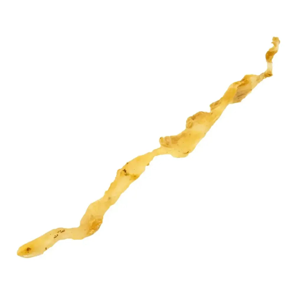 Jones Natural Chews Turkey Tendons – USA - Sourced, Single - Ingredient Dog Treats 6oz - Talis Us