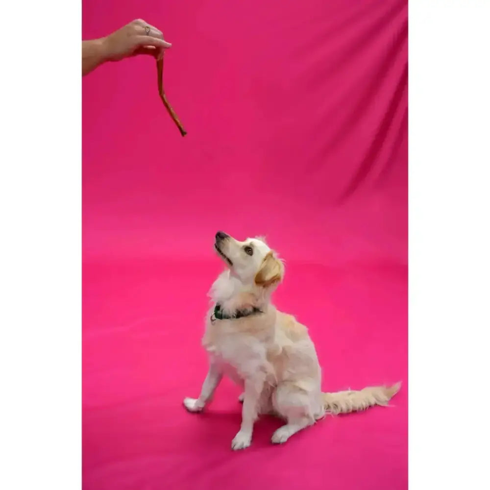 Jones Natural Chews Turkey Windees – Tasty, Digestible Chews for Dogs - Talis Us