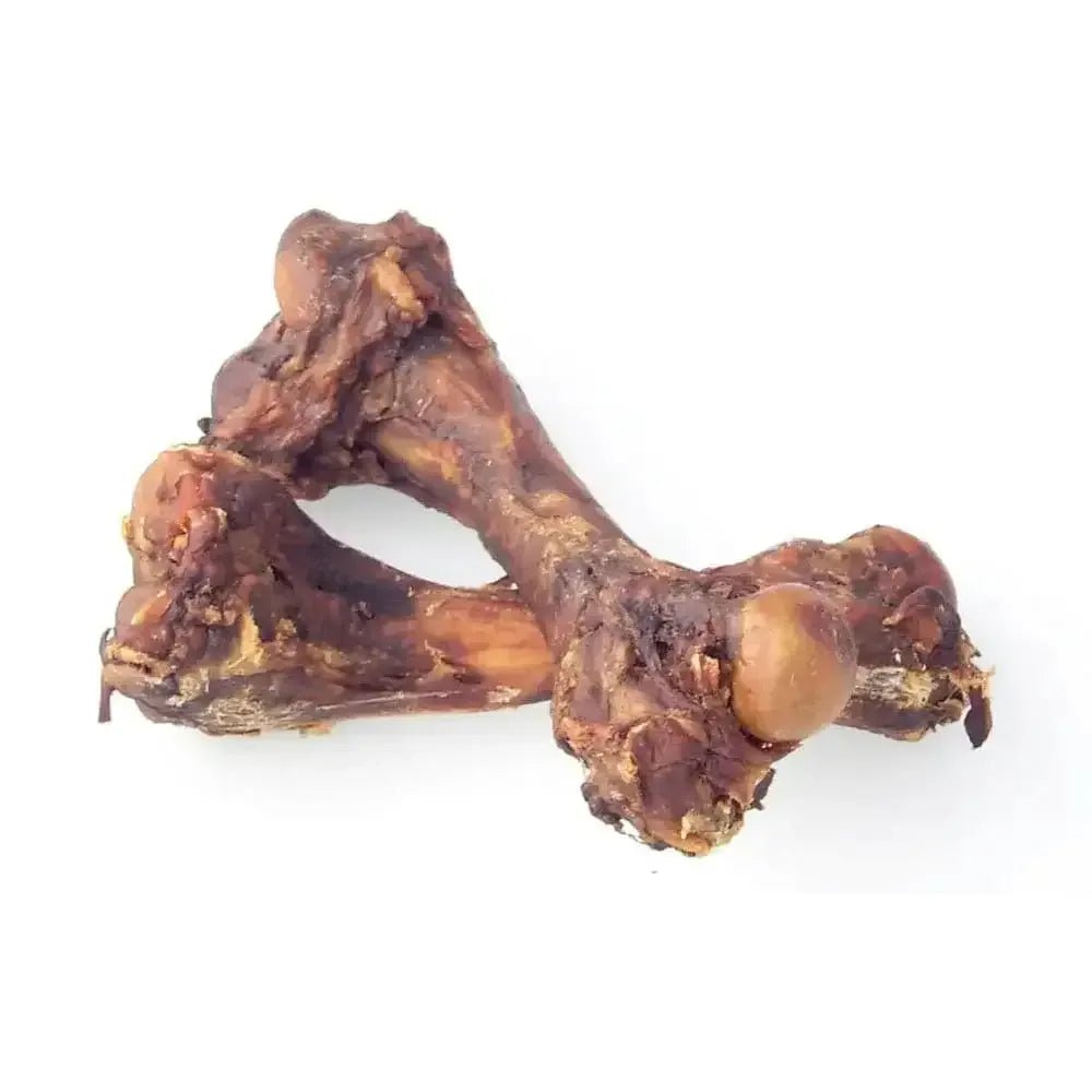 Jones Pork Femur Bones Natural Dog Chews 6 - 8 Inch 1ct - Talis Us