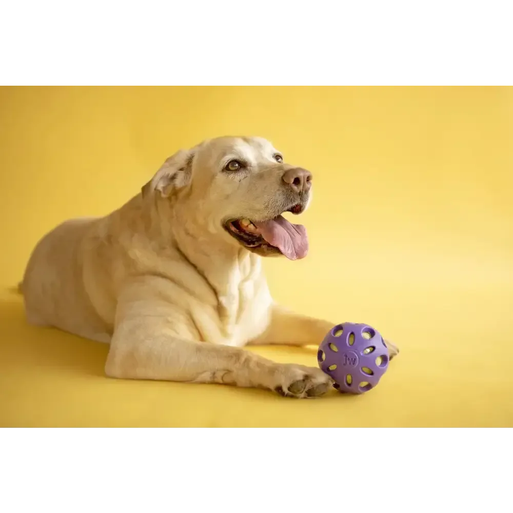 JW crackle ball dog toy in purple, perfect for engaging and entertaining dogs during playtime