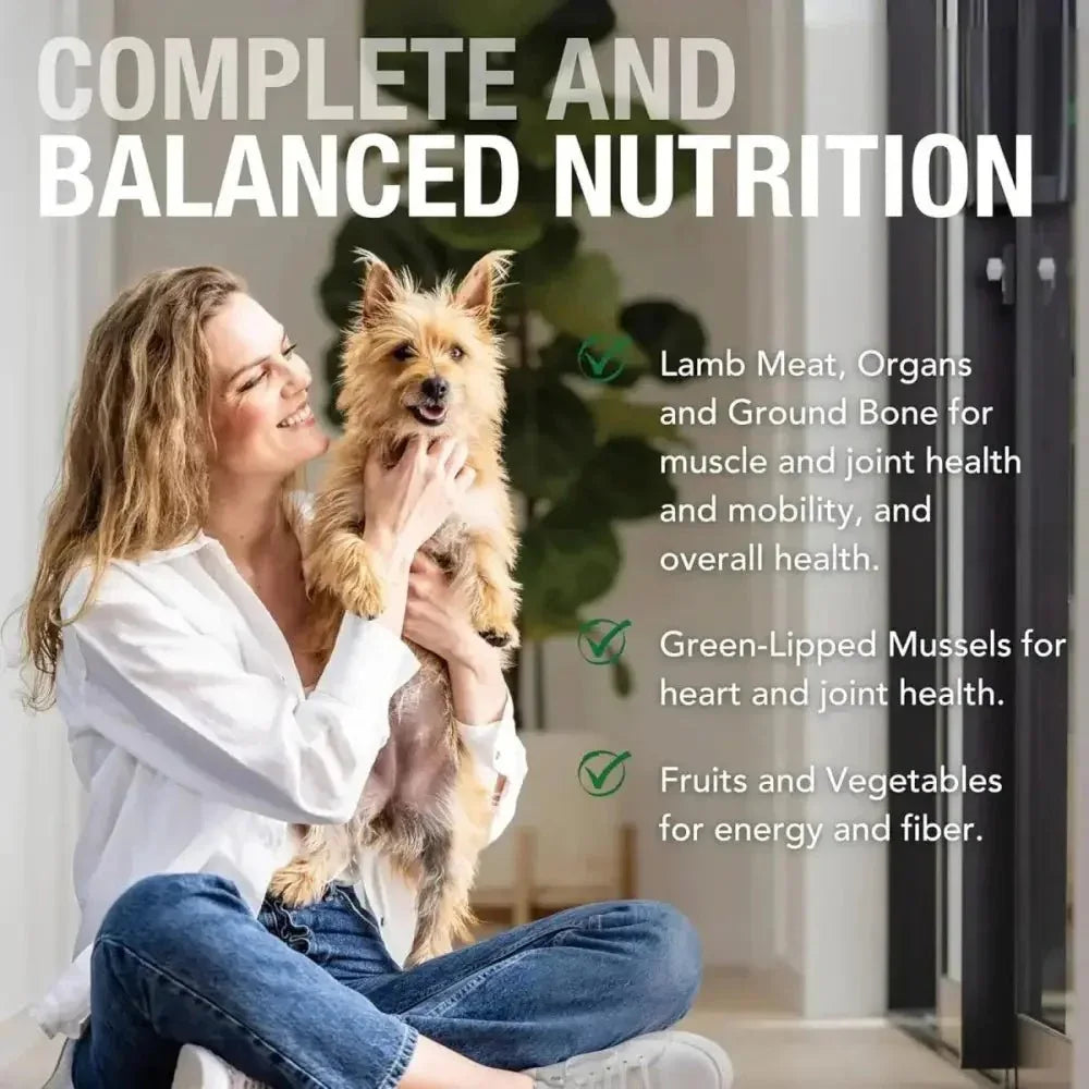 K9 Natural Grass - Fed Lamb Feast Grain - Free Canned Dog Food - Talis Us