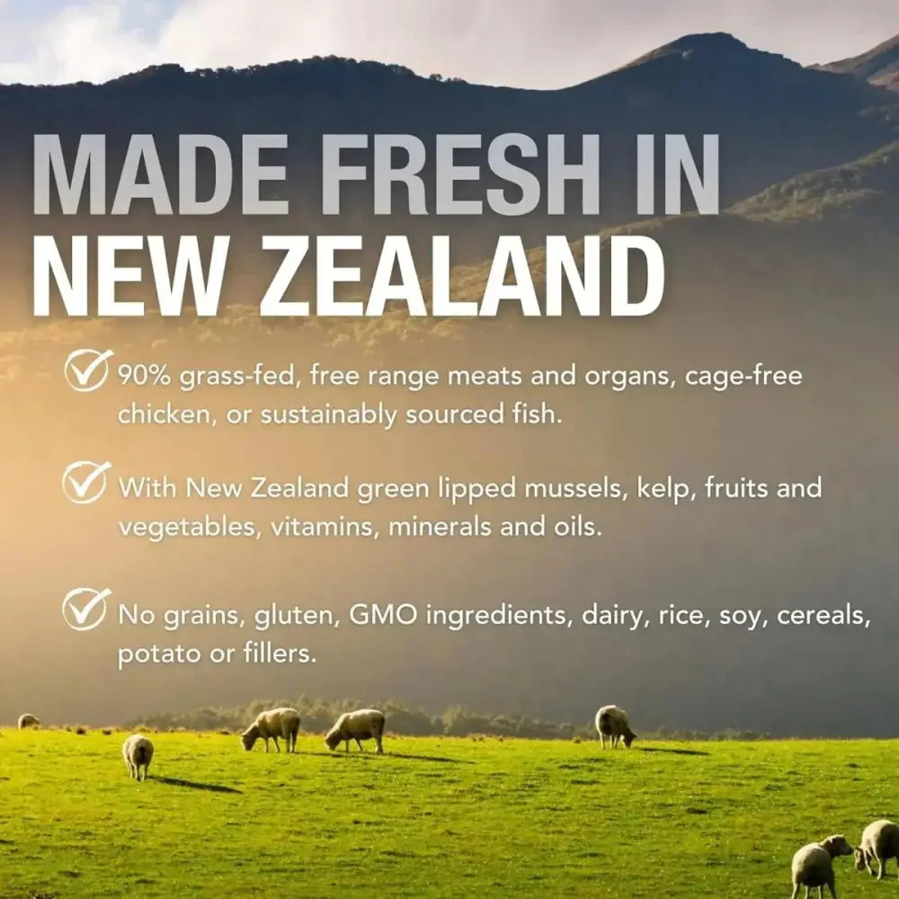 K9 Natural Grass - Fed Lamb Feast Grain - Free Canned Dog Food - Talis Us